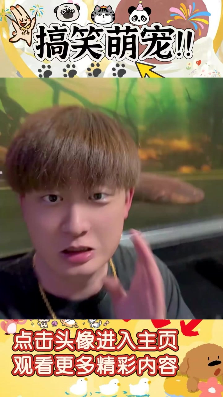 《高德导航语音包:用宠物叫声与AI创意导航新体验》