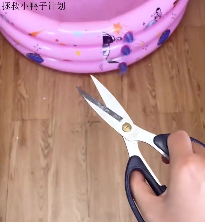 拯救小鸭子计划