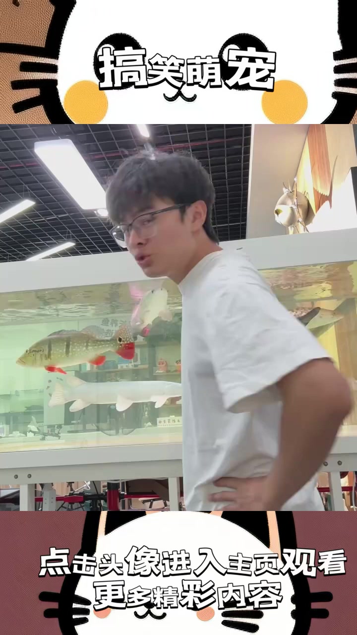巨骨蛇鱼惊现市场:50元的真相竟是一条鲶鱼的骗局!