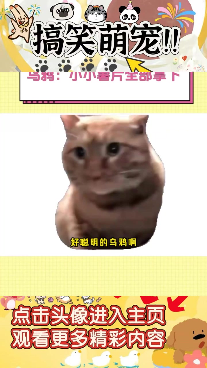 聪明乌鸦与薯片的智慧较量:寻找希望与解决之道
