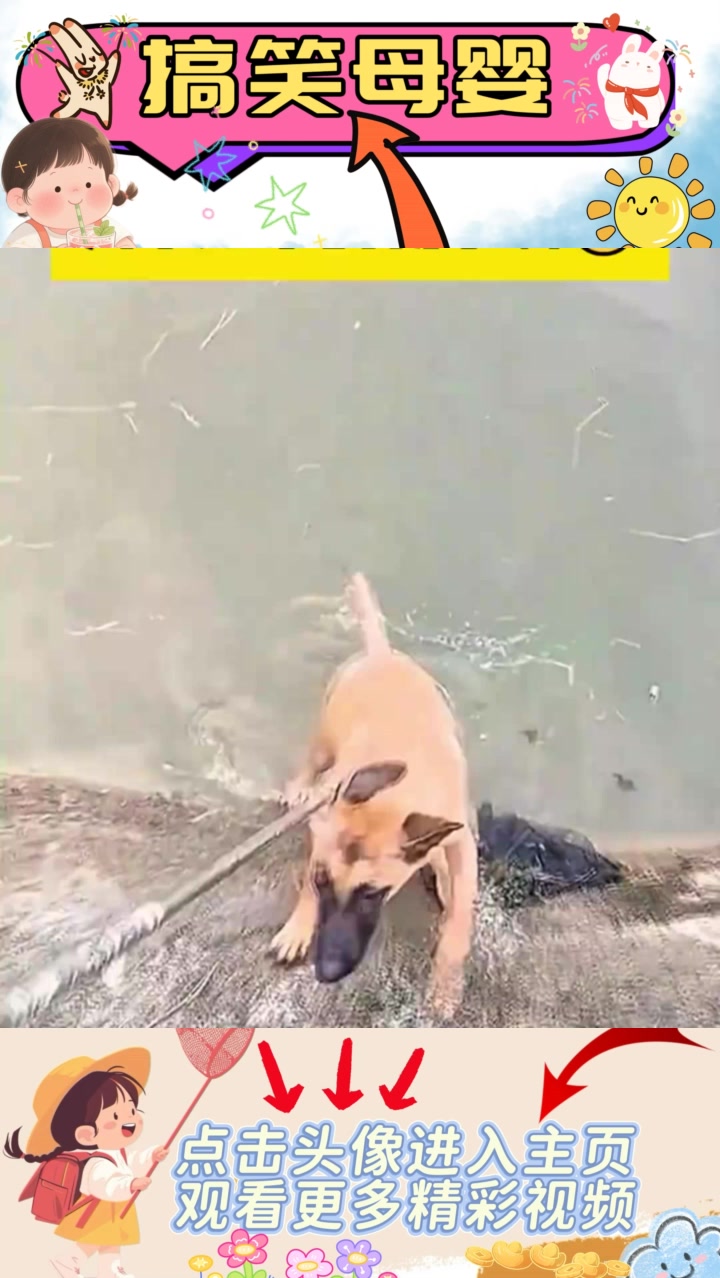 《钓鱼大戏：跌落、求救与最终的“吃屎尖尖”》