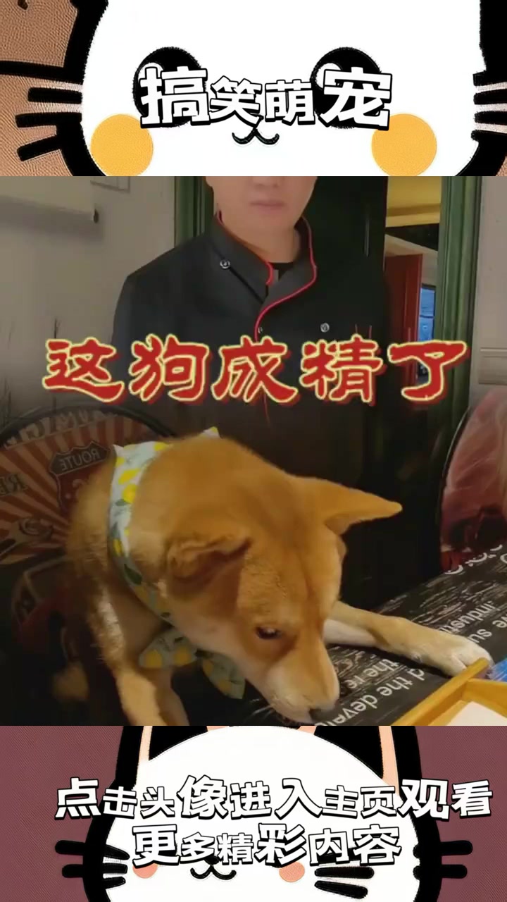 “寻鸭之谜:从孤儿到北京烤鸭的奇幻旅程!”