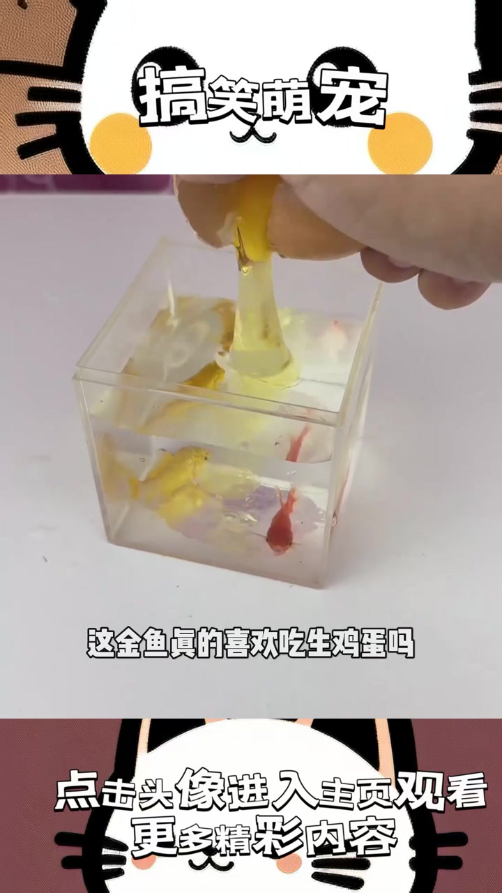 “金鱼爱吃鸡蛋？背后隐藏的奇幻真相与自然规律的冲突揭秘！”