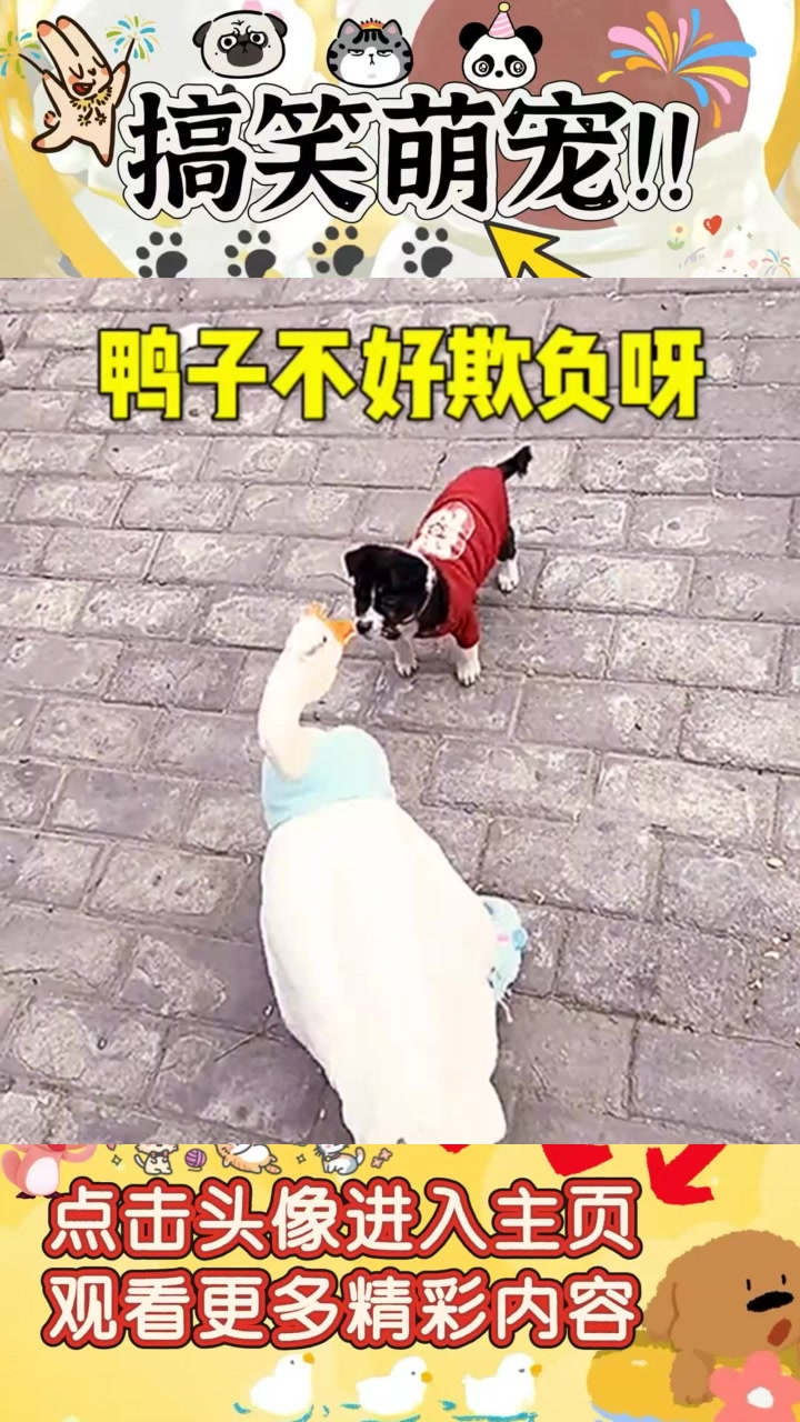 《二狗子与鸭子的搞笑对决,谁才是强者?》