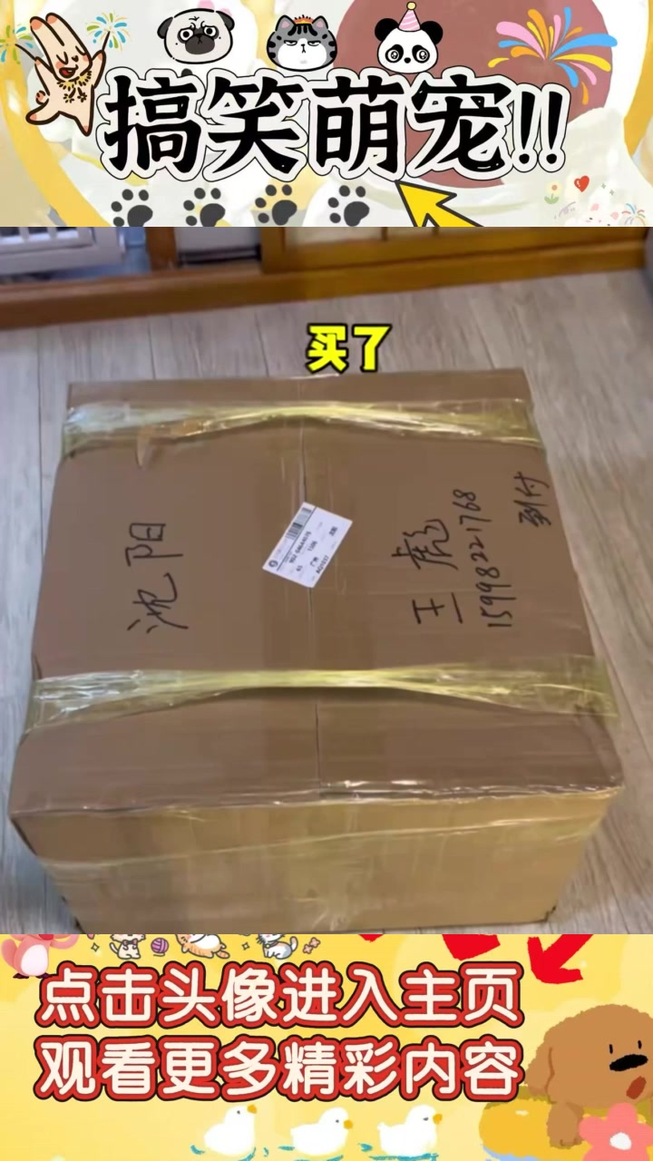 《尼罗河魔鬼鱼:反天刀的捕猎之旅与猥琐魅力探秘》