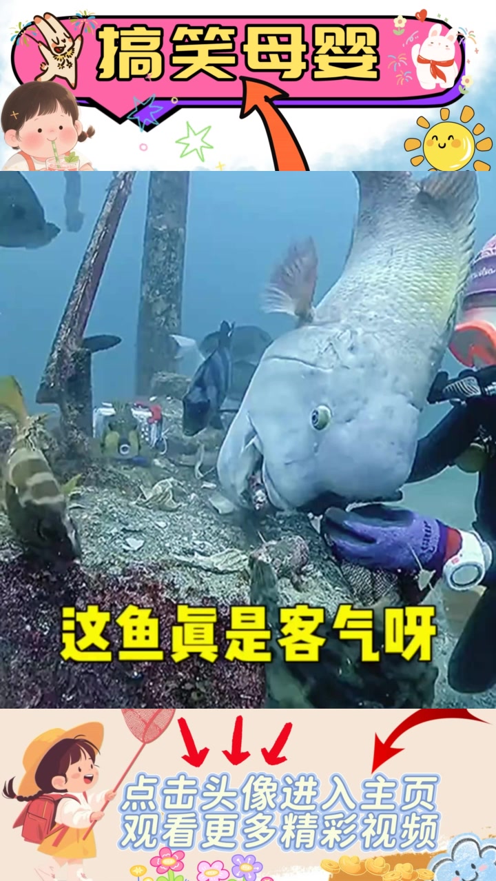 “鱼与人间的有趣互动：挑食的幽默时刻”
