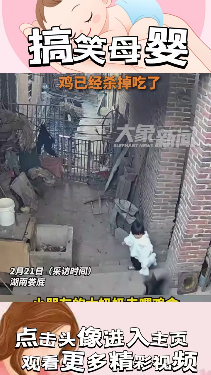 “超自然鸡袭：小朋友与公鸡的惊魂躲避战，险些遭遇惨剧！”