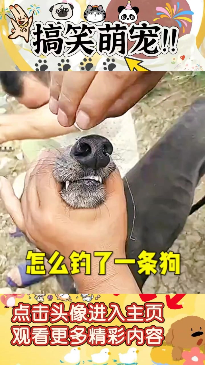 钓鱼不成却钓上一条狗，二狗子真是惹人笑！