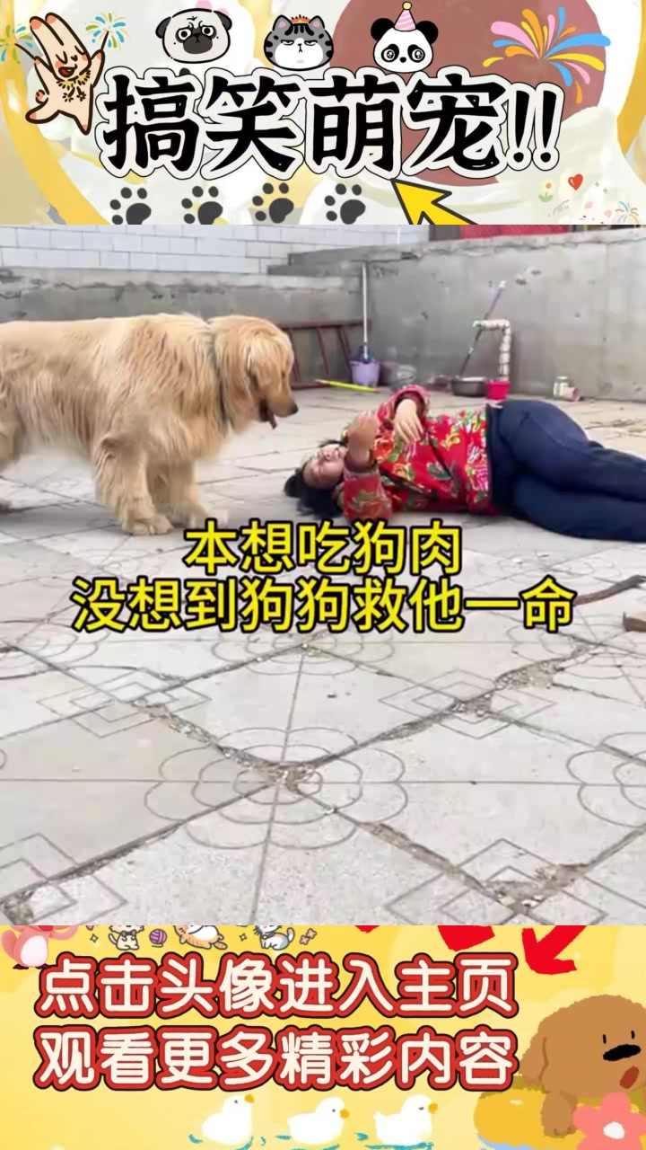 《对不起,我不再吃狗肉了:感人女子与狗狗的心灵交流》