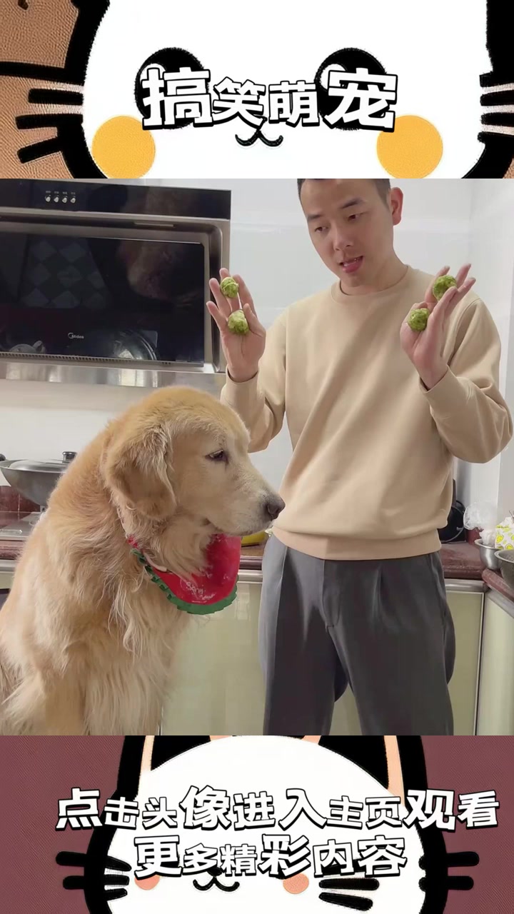 “清明怪事：祖宗托梦求青团，死猫夜袭显灵气！”