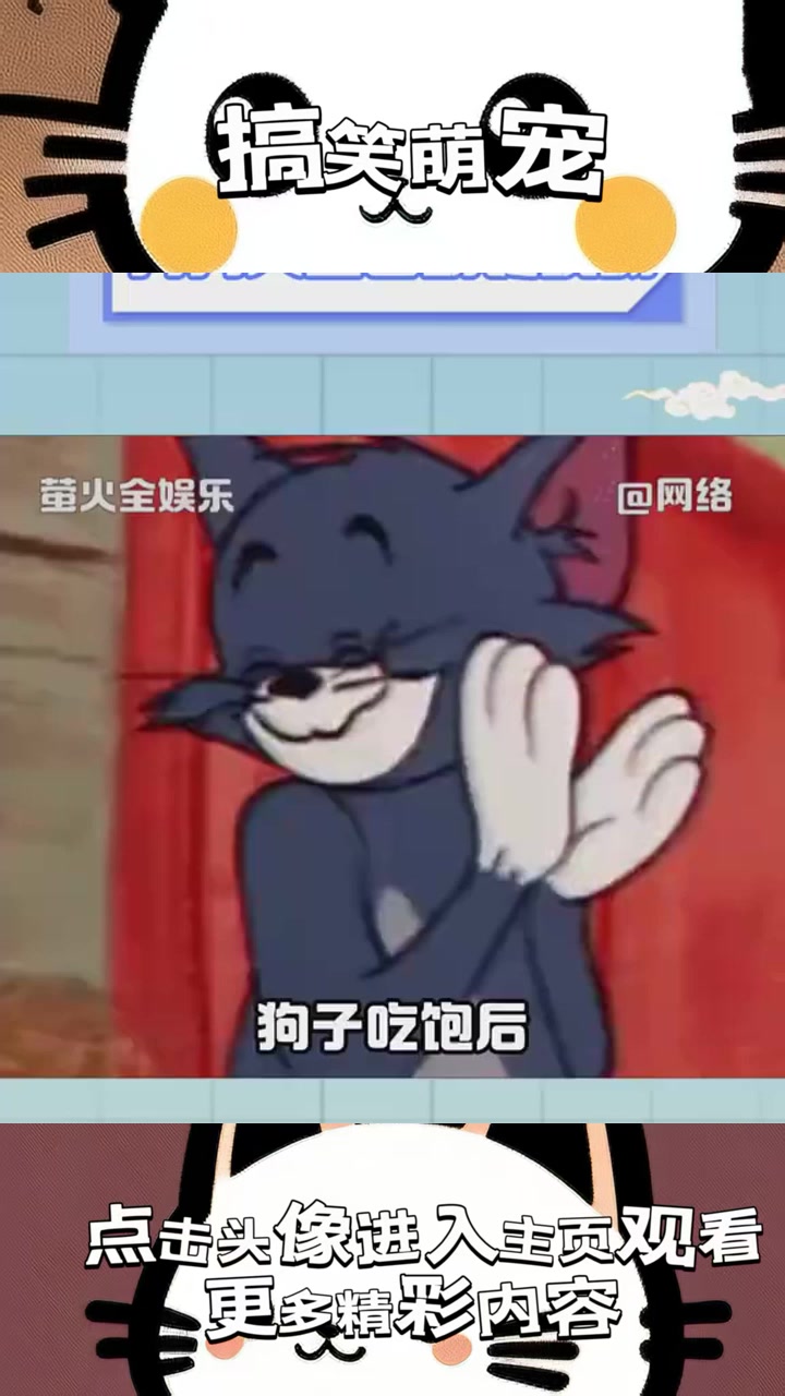 “神秘面包山：流浪狗的自助餐与人类情感的奇妙交锋”