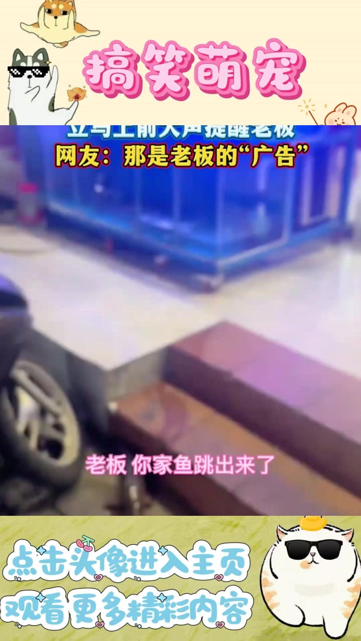 “惊呆了!你家鱼竟然跳出水面,老板快来看!”