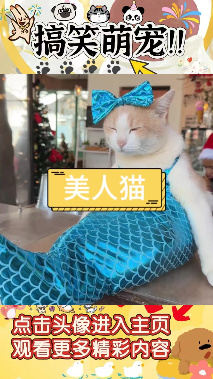 美人鱼的秘密:她究竟如何化身为美丽的传说?