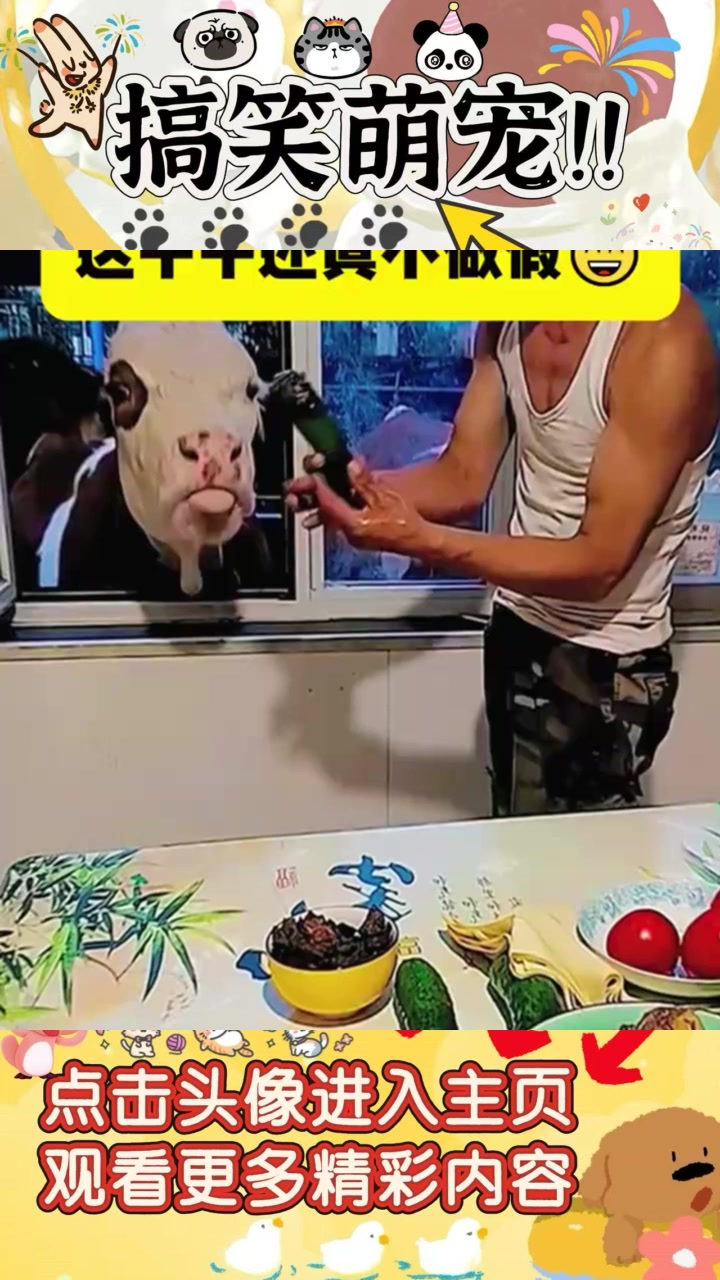 饭桌上的幽默对话:贫穷中的讲究与美食分享