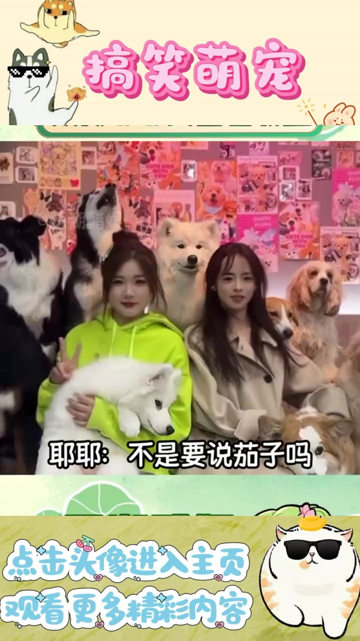 家狗咖喱的爷爷:合照时的搞笑惊吓与乖巧表现交织