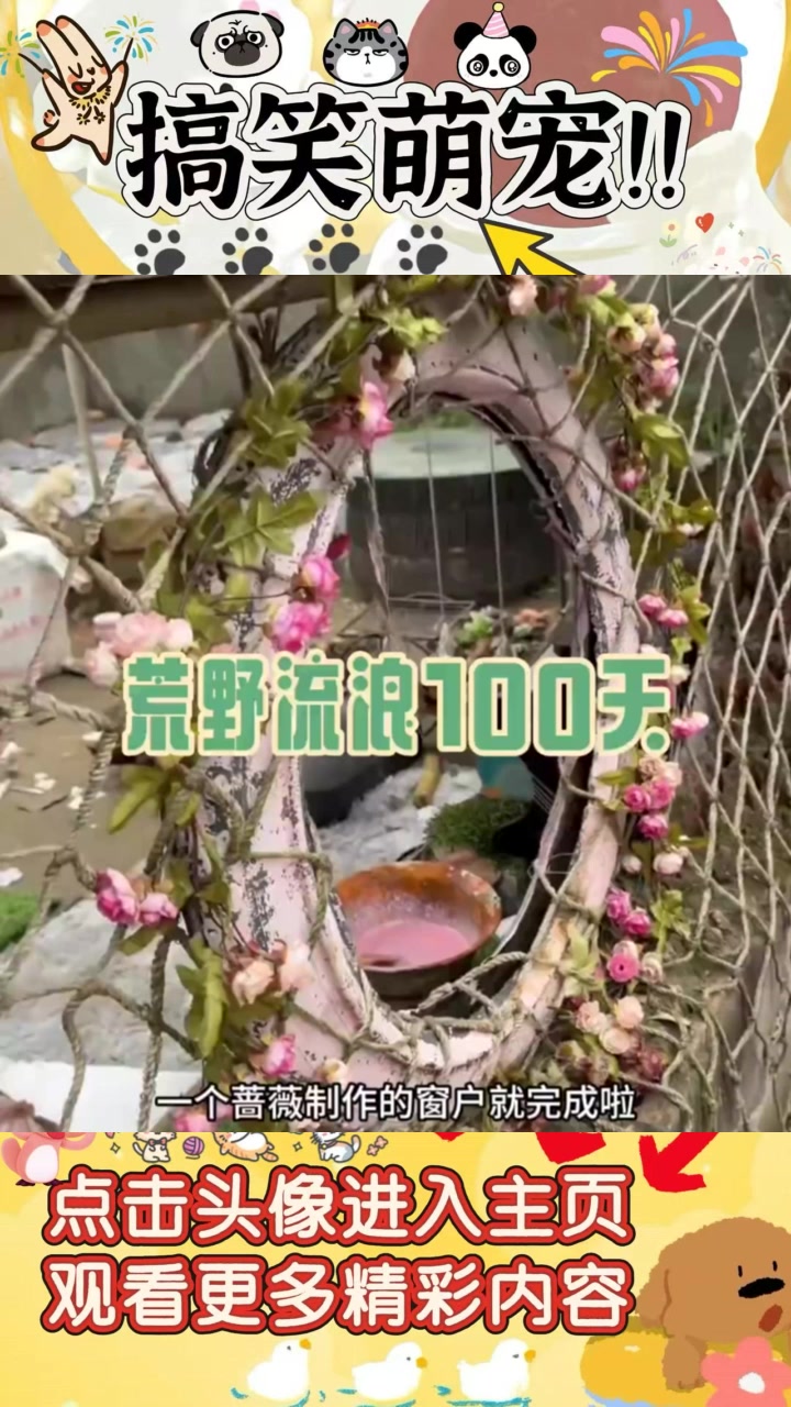 《我的小别墅：打造蔷薇窗户与泡泡浴的梦幻旅程》