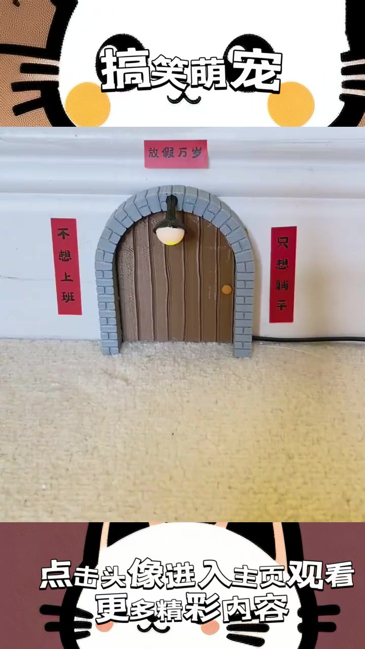 “微波炉的恶作剧：鸡腿被吃之谜背后的怪异冲突与调皮行为”