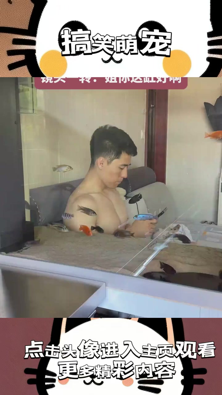 奇幻水族：老公的魔法鱼缸，灰鱼摇身变彩，竟藏变色绝技！