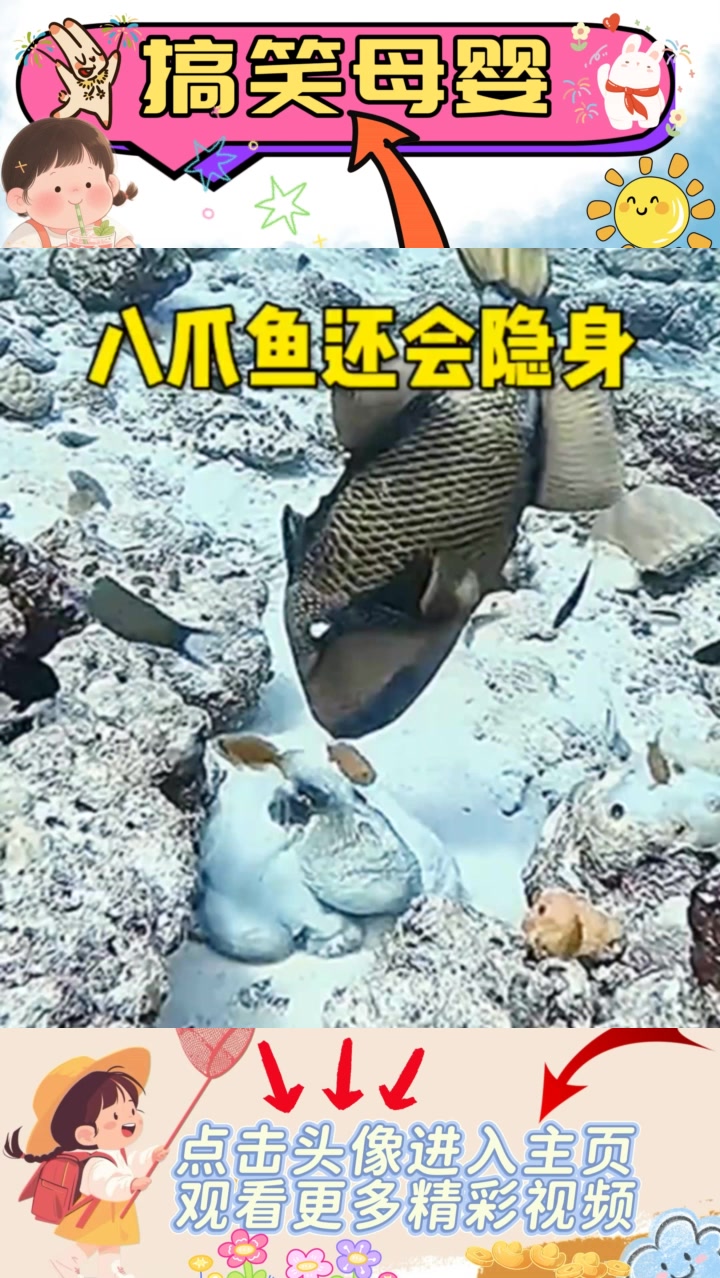 “八爪鱼的神奇逃脱:喷墨与闪避的惊险一幕”