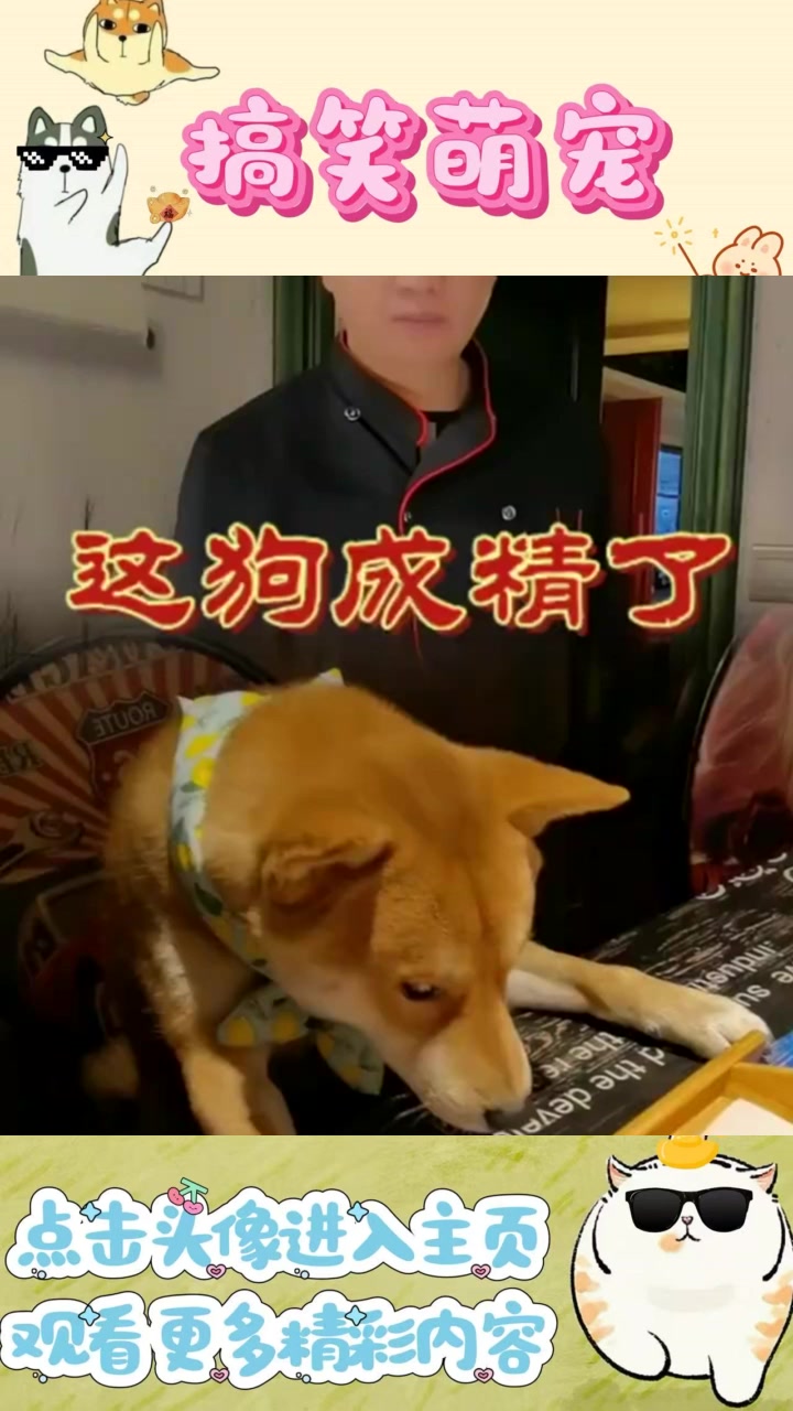 “各地烤鸭混乱,误认北京烤鸭引发搞笑对话”
