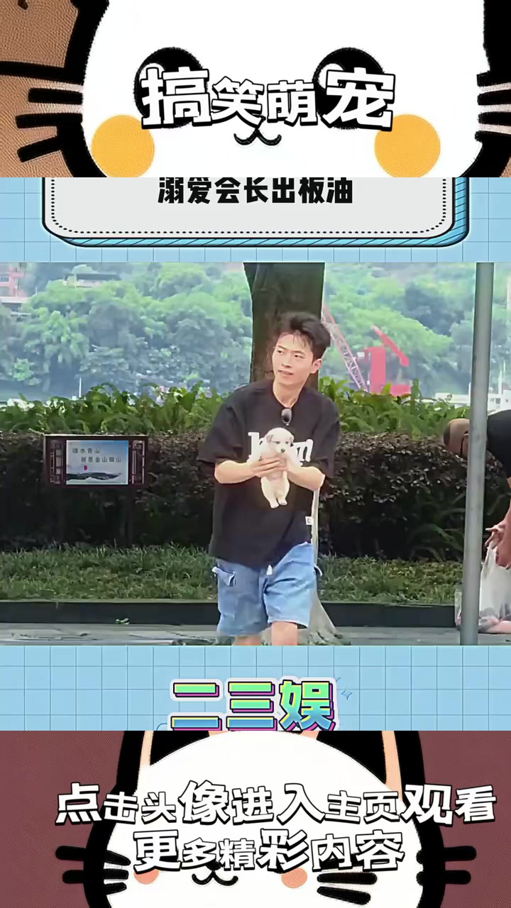 “恋爱与溺爱:神秘萨摩耶的怪诞变异与未解之谜”