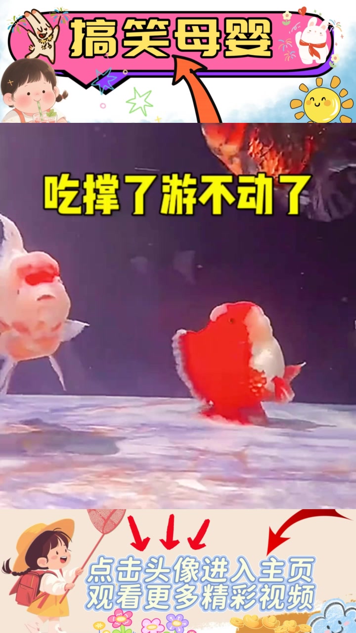 可爱的鱼：量力而行，别让美食成负担！