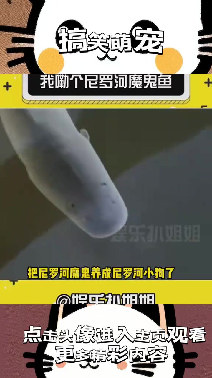 “水中液压钳的温顺假象:裸豚鱼与优雅喂食的惊人反转!”