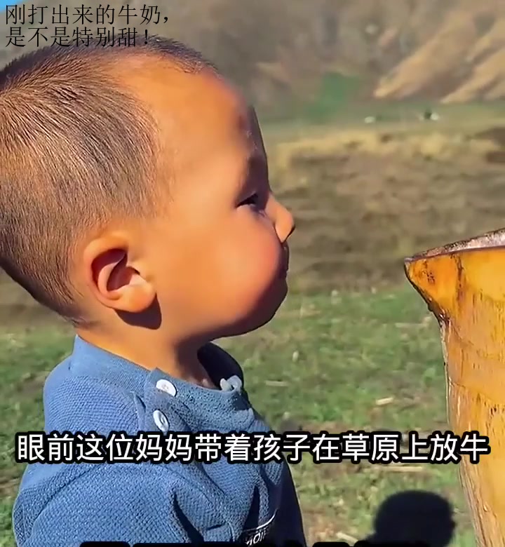 刚打出来的牛奶,是不是特别甜!