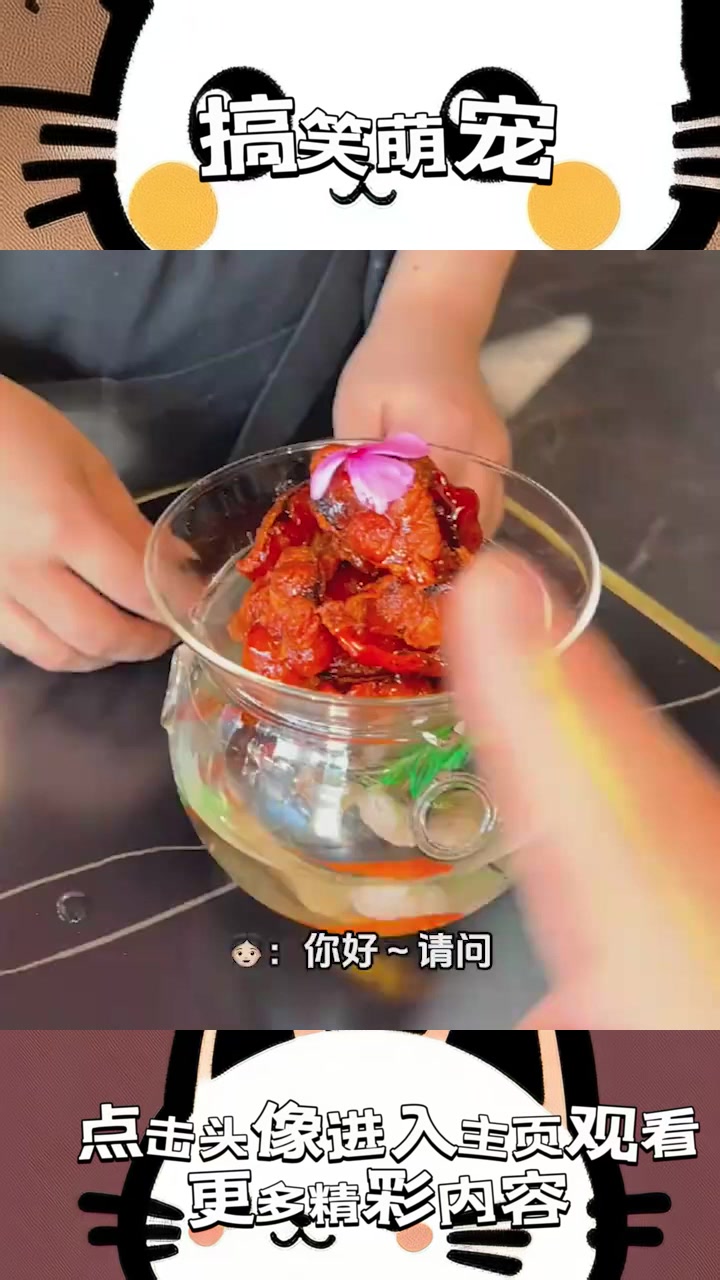 小金鱼梭鱼离奇归家记：水中秘密与超自然奇遇交织的迷幻旅程