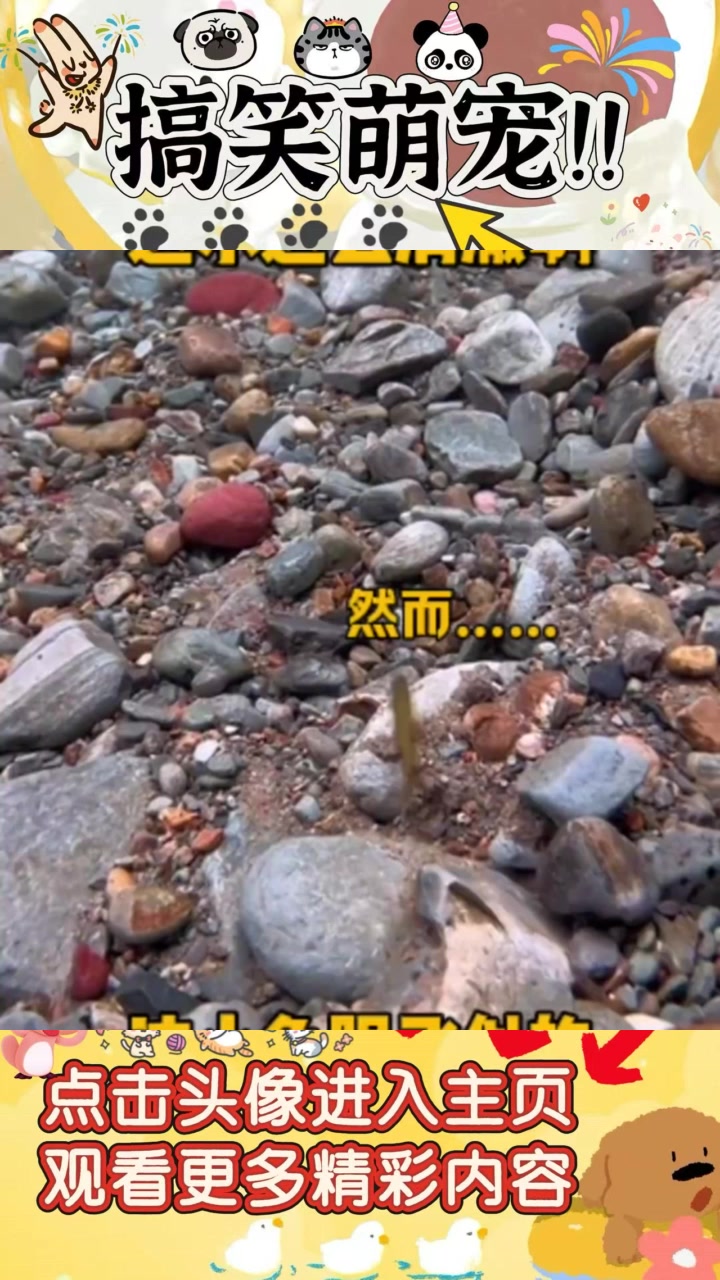 “清澈如镜的水域，小鱼儿游弋，兄弟你真的没骗我！”