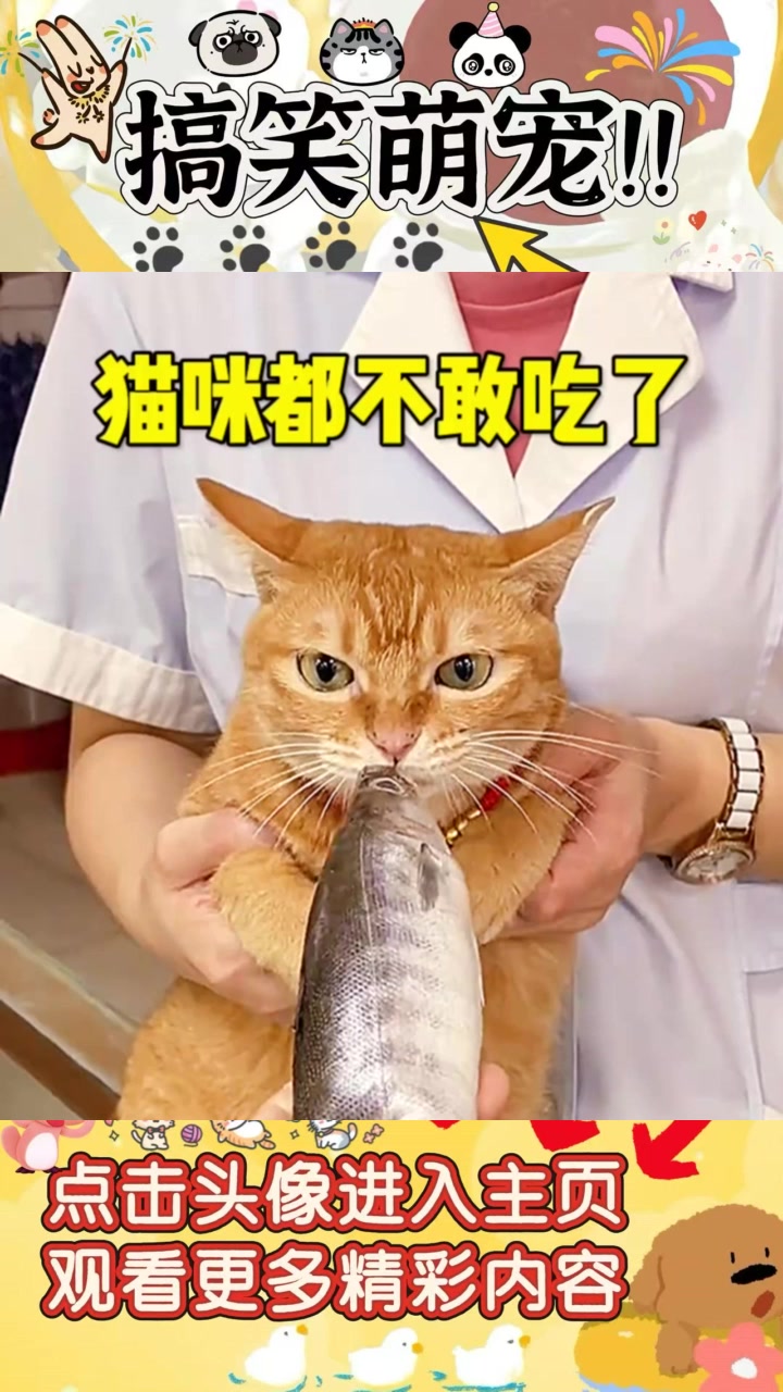 “吃鱼的快乐时光：咪咪的热情邀请与友谊”