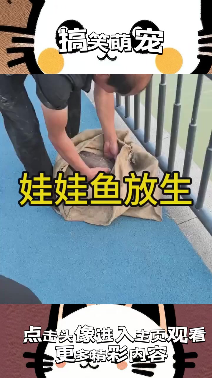 桥上奇遇：麻袋里的娃娃鱼与其神秘啼哭声引发的众人围观