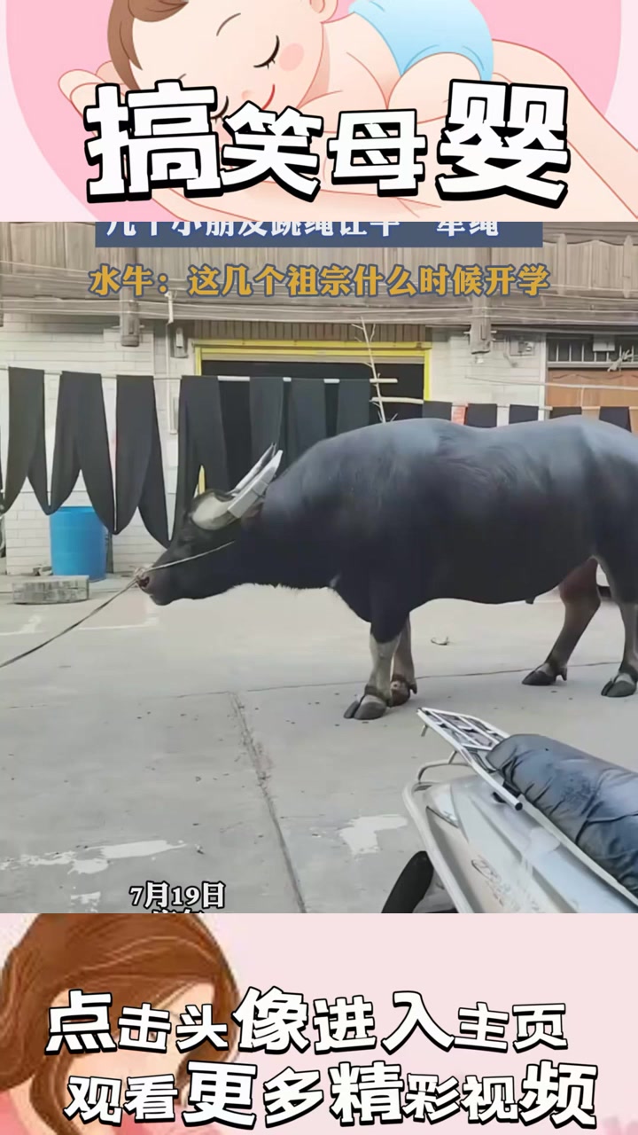 别墅深处怪声迭起,水池竟藏龙鱼之谜,究竟隐藏了什么?