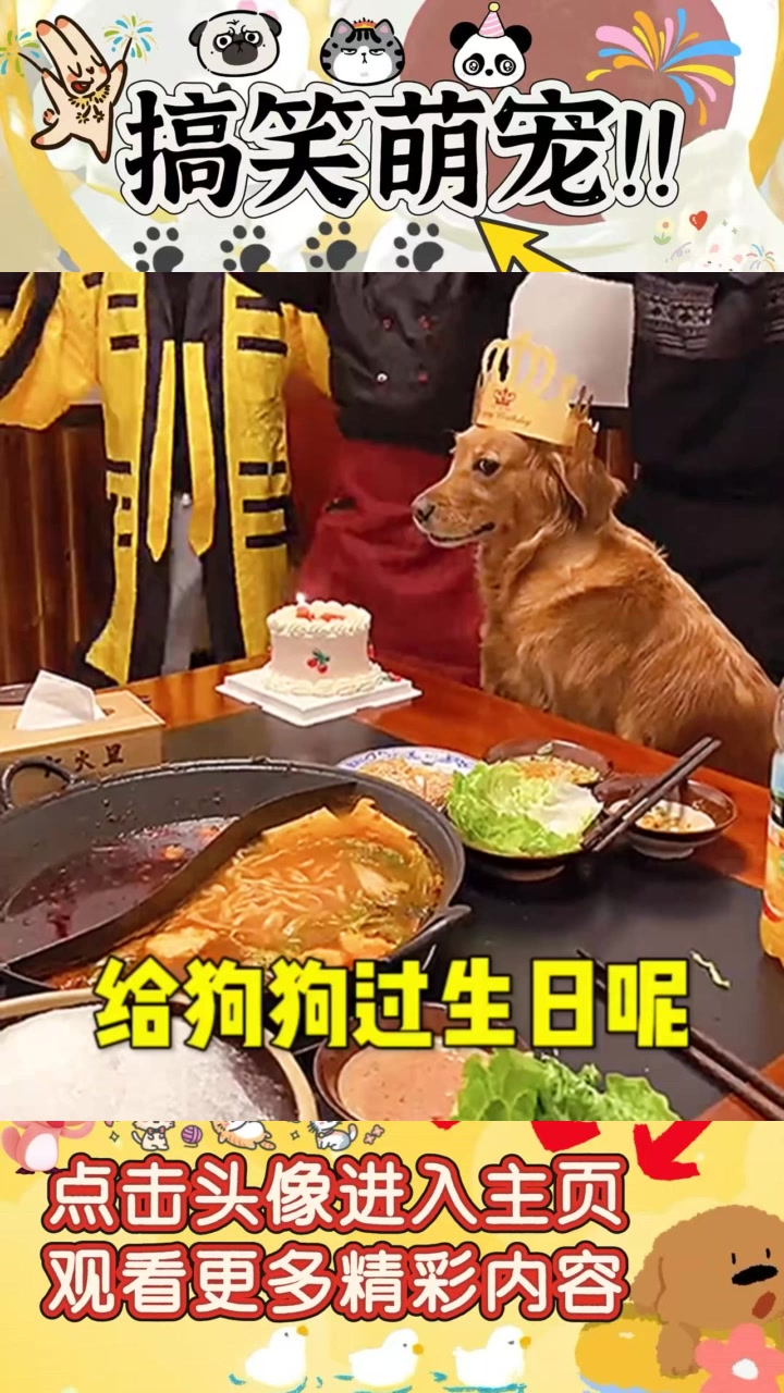 “狗狗生日派对：二狗子的困惑与愿望时刻”