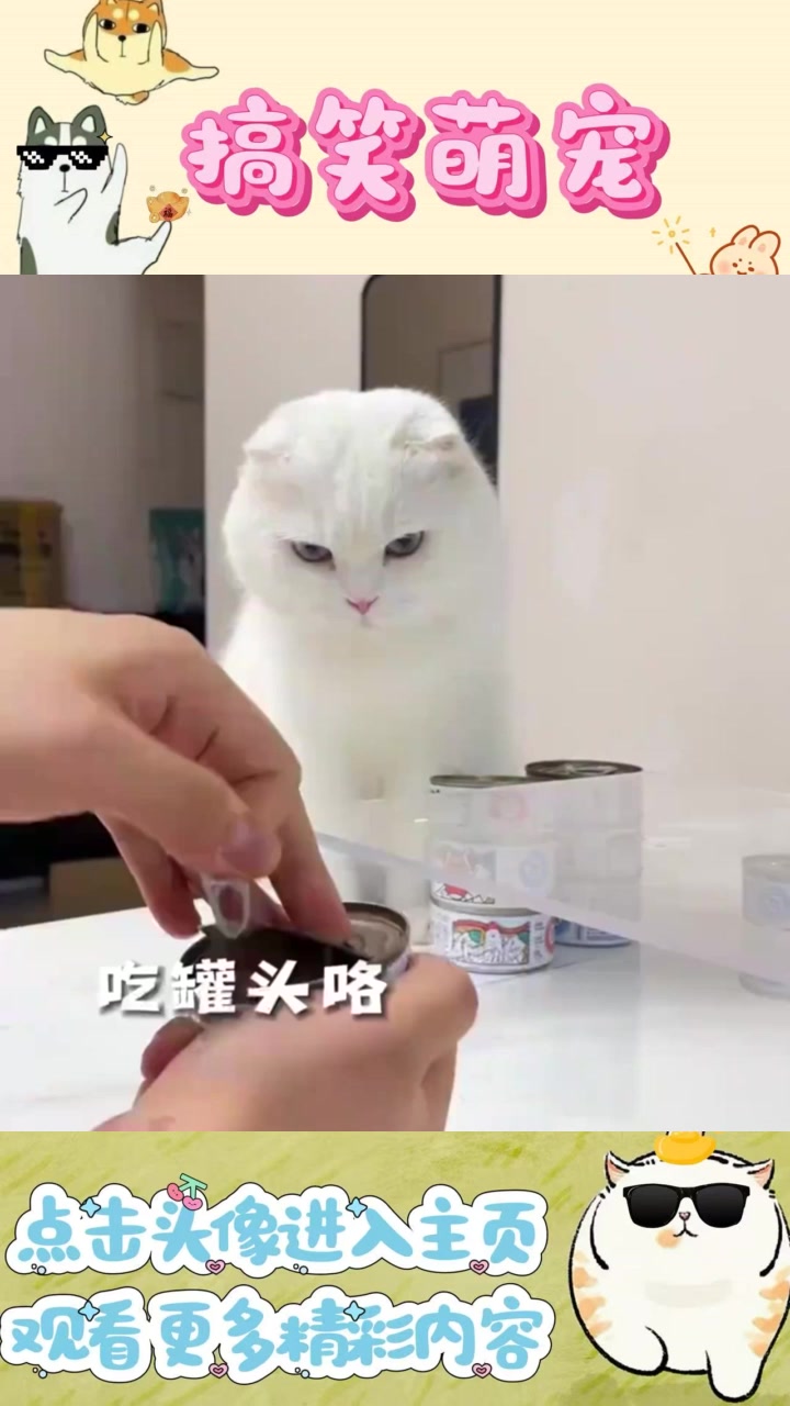 爸爸的温情与小女孩的奶茶愿望交织的小故事