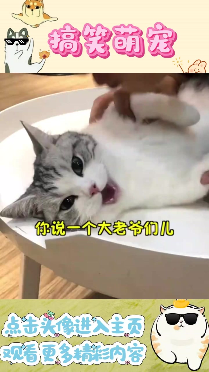 大老爷们儿频抱猫的趣事,难道更吸引人?