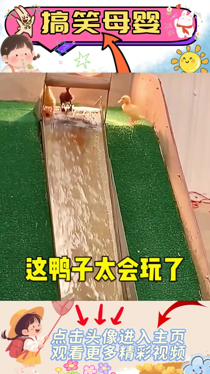 小鸭子们的快乐生活：享受游乐场的无忧无虑日子！