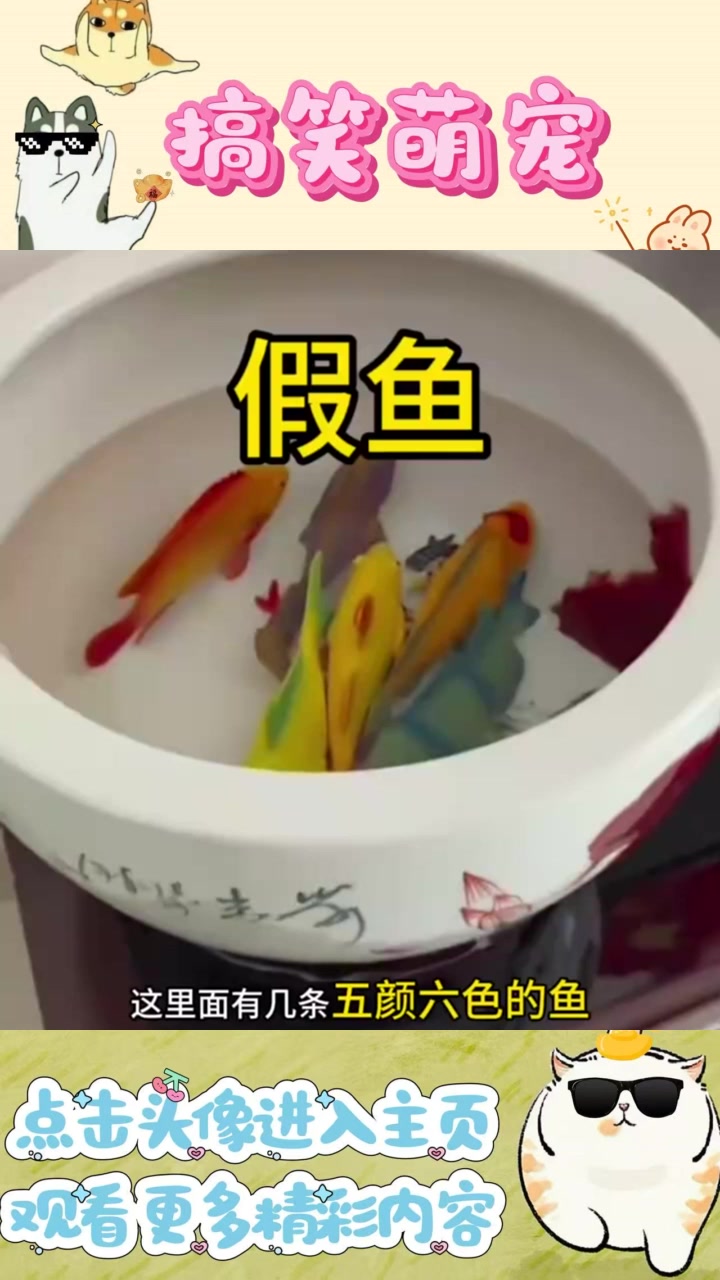 老表家里的塑料鱼缸:美观与真实的意外交汇