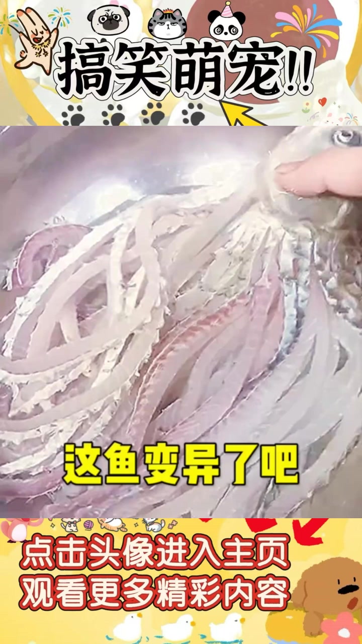 “八爪鱼变异?奇特鱼类让人不敢下筷!”