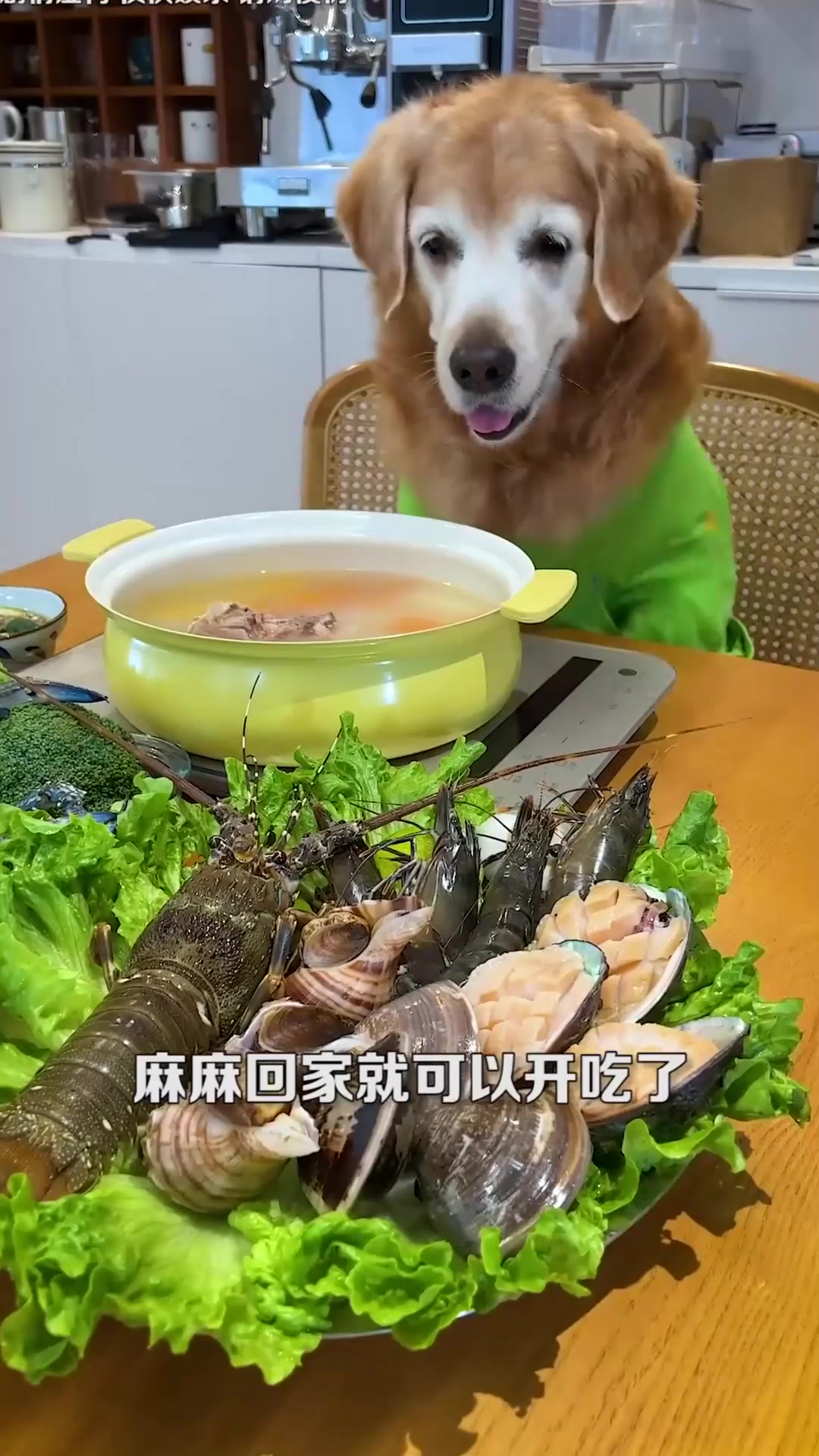 没想到狗狗居然去海边抓龙虾给主人吃，好厉害！