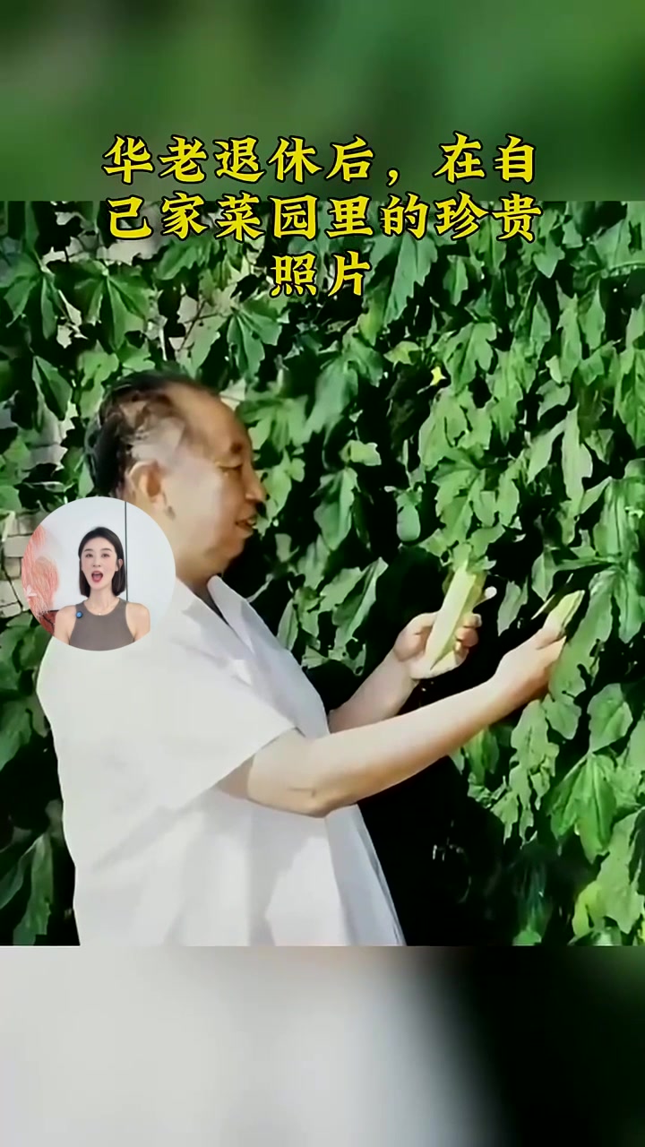 华老退休后,在自己家菜园里的珍贵照片