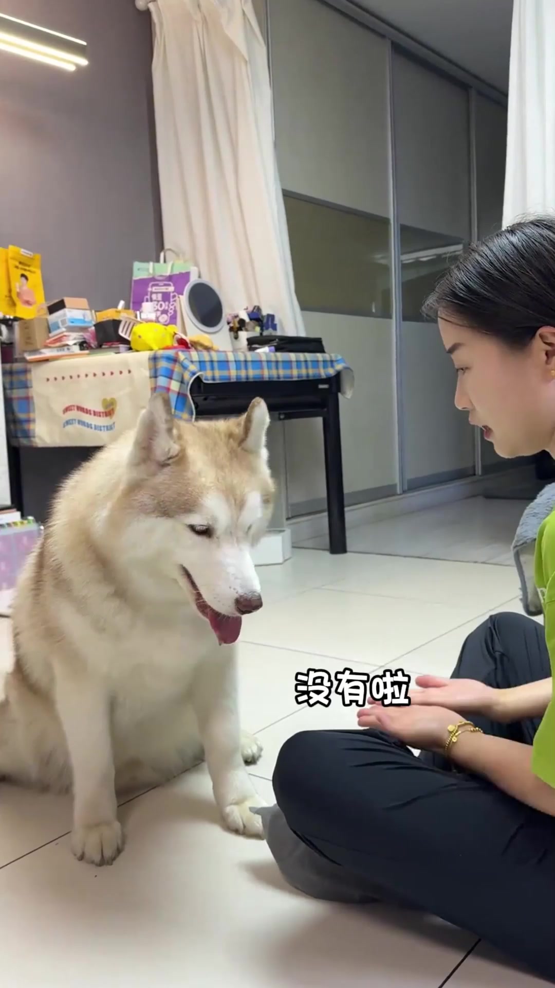 给别人家的哈士奇策划过生日,是什么体验?