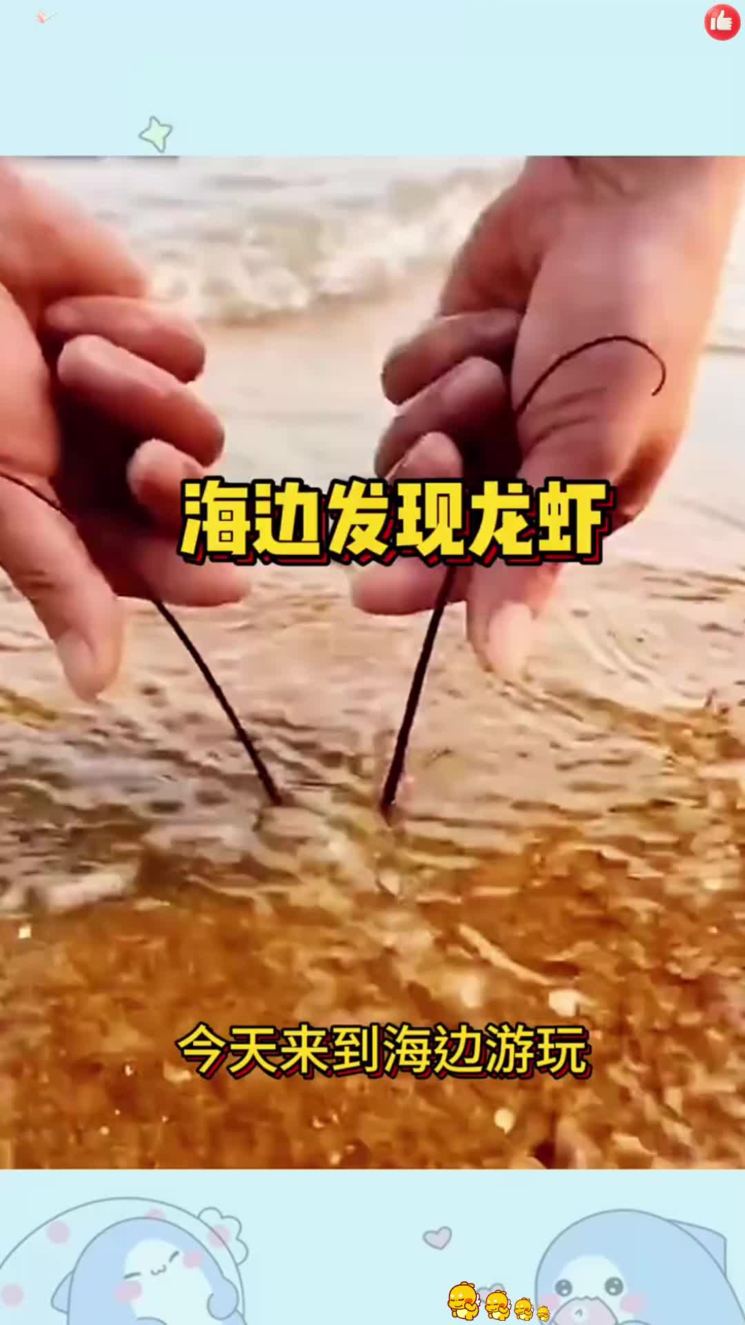 海边发现大龙虾，真是意外的收获