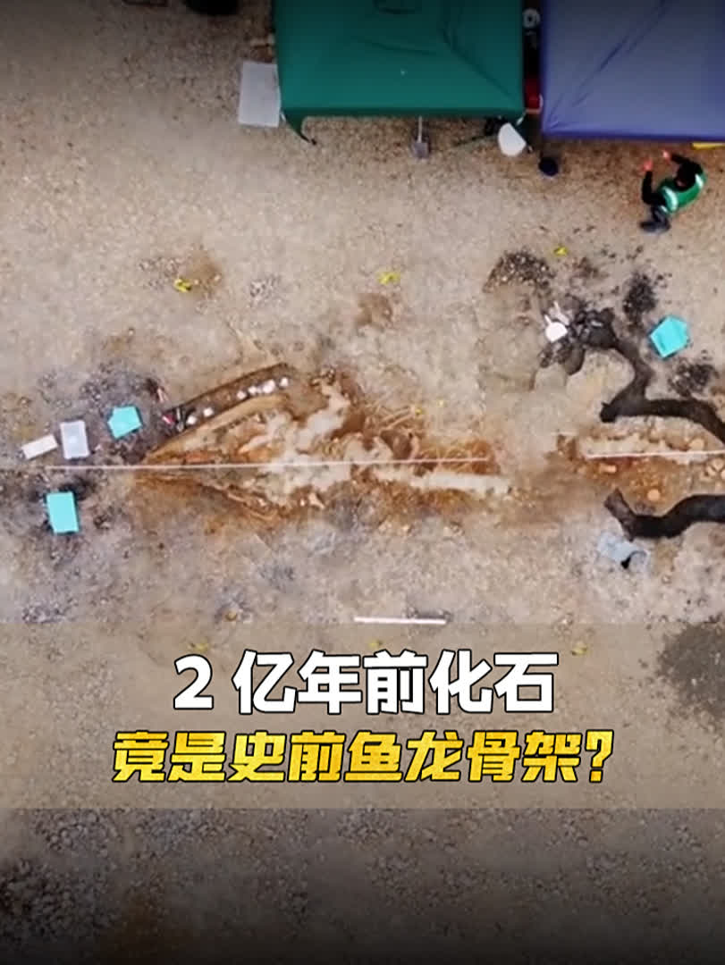 英国湖底发现2亿年前化石,竟是史前鱼龙骨架?