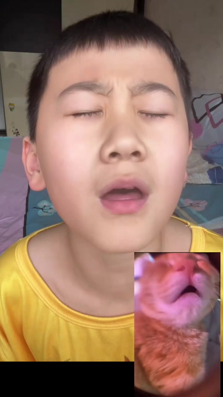 给猫meme表情包配音 