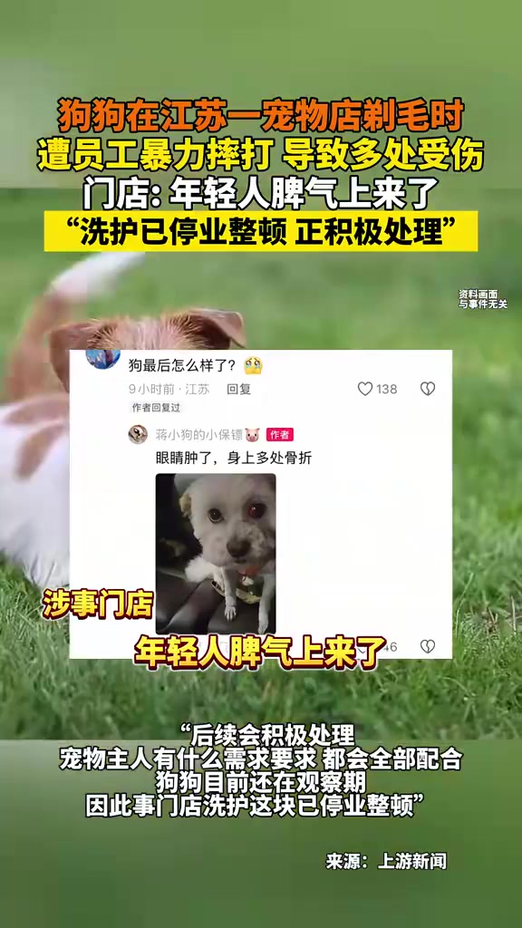 狗狗在江苏一宠物店剃毛时,遭员工暴力摔打 导致多处受伤,门店