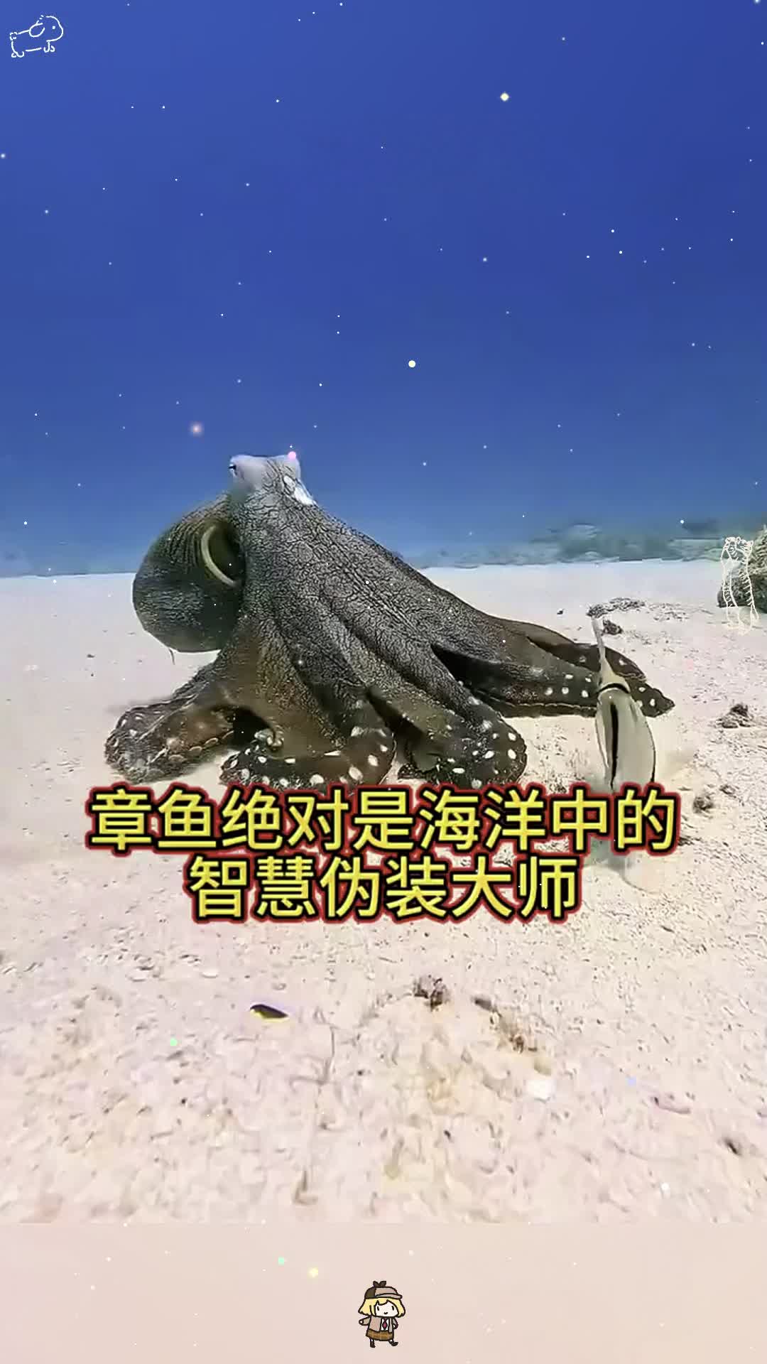 章鱼绝对是海洋中的智慧伪装大师