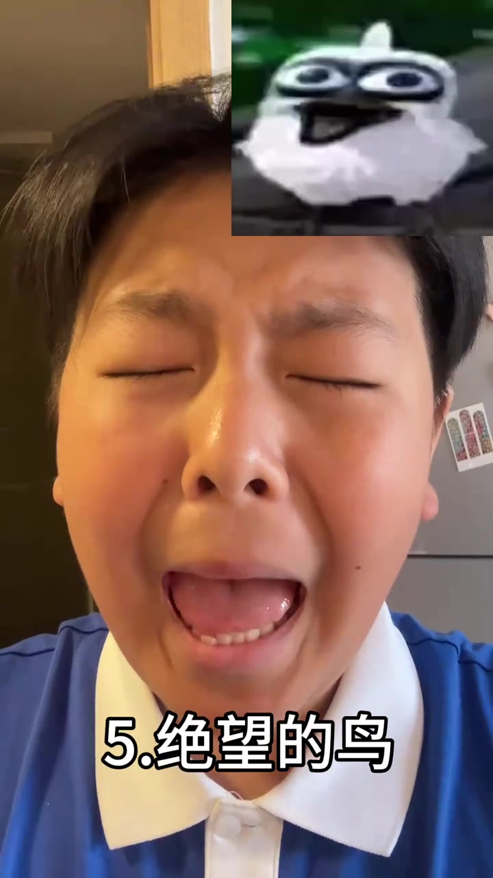 《给表情包配音》第一期