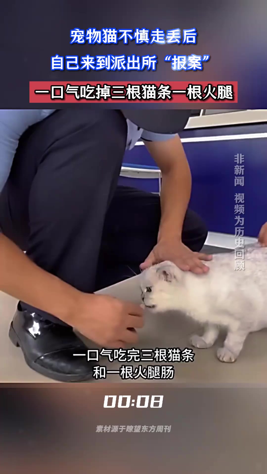 宠物猫不慎走丢后,自己来到派出所“报案”