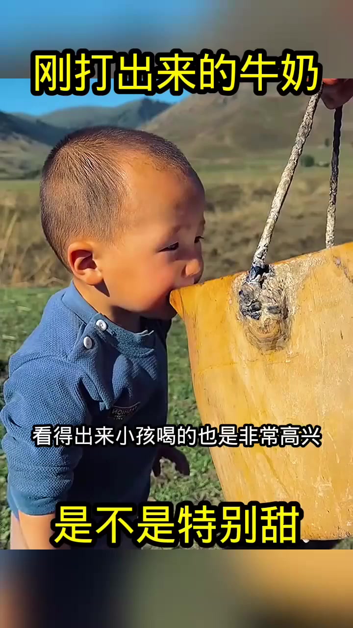 刚打出来的牛奶,是不是特别甜!